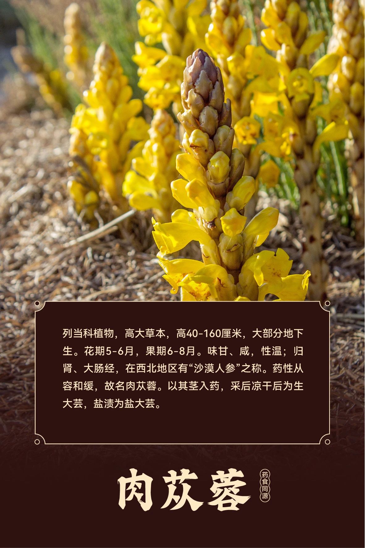 1732593622247279.jpg 微信圖片_20241126115929.jpg