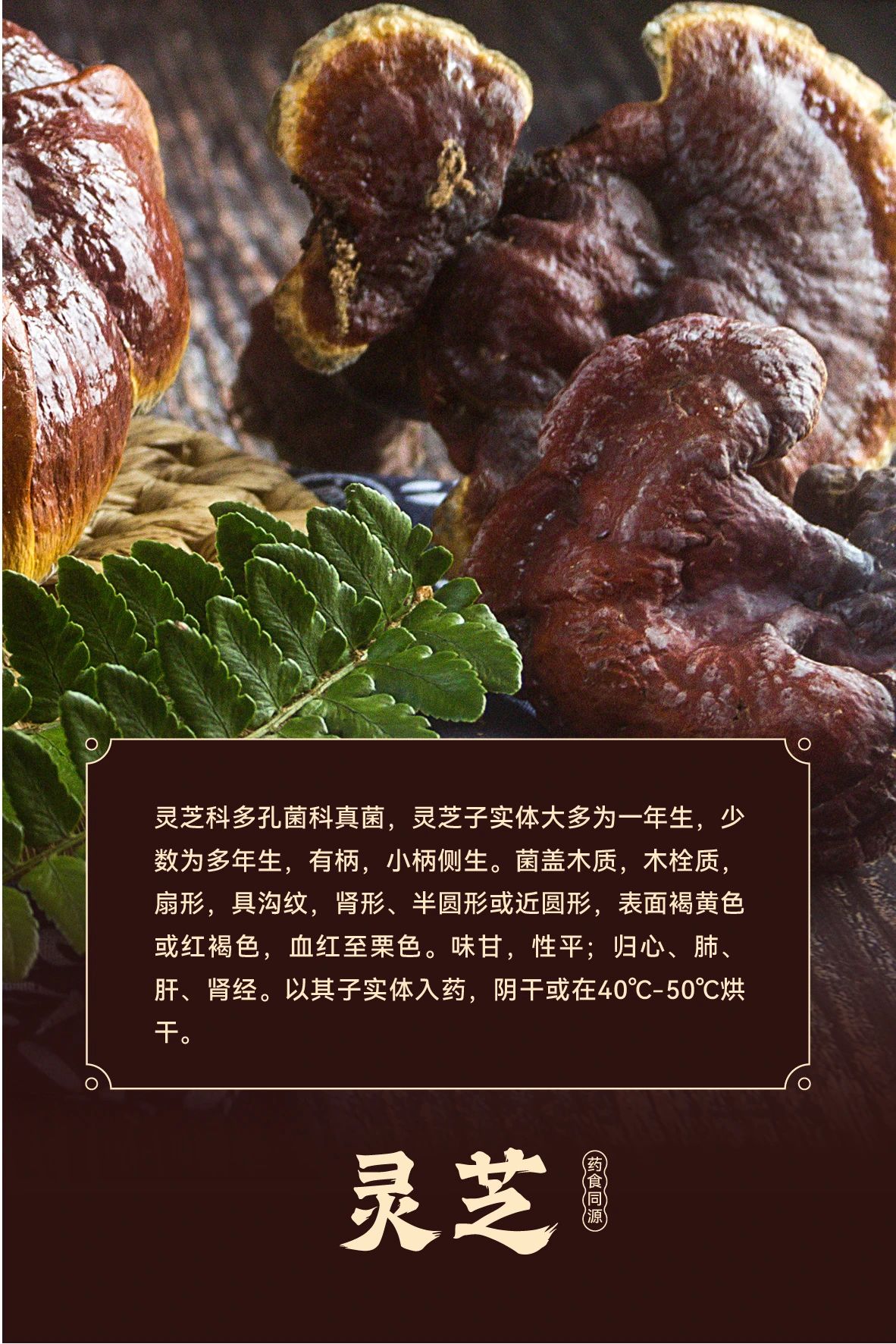 1732593726926251.jpg 微信圖片_20241126115939.jpg