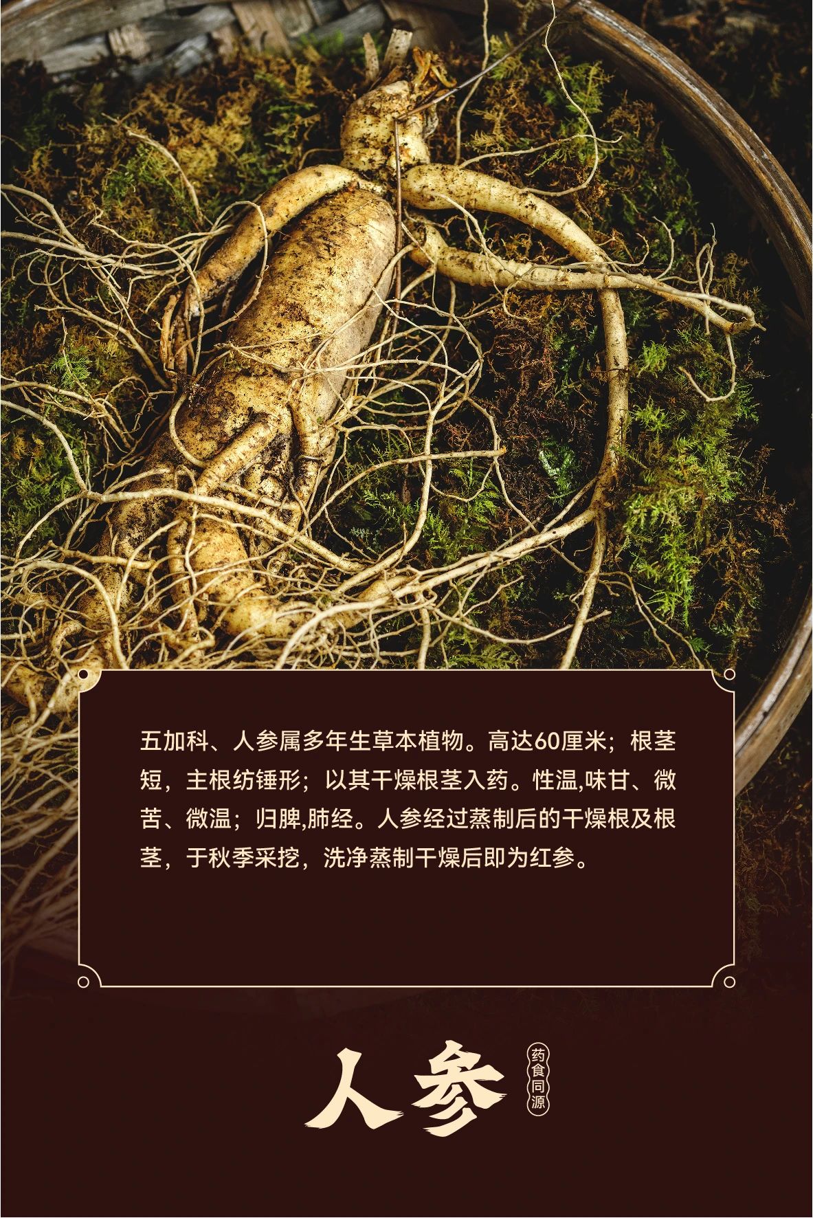 1732593811742984.jpg 微信圖片_20241126115949.jpg