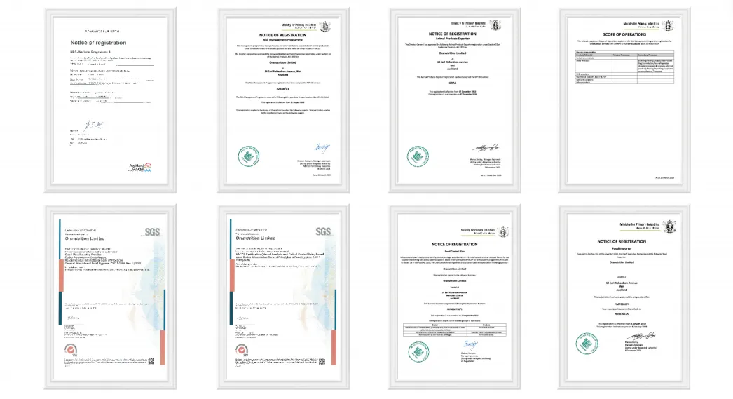 1774860631257349.jpeg 4.jpeg